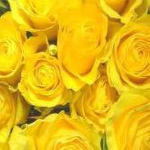 Meet Your Posher Make Me An Offer !!